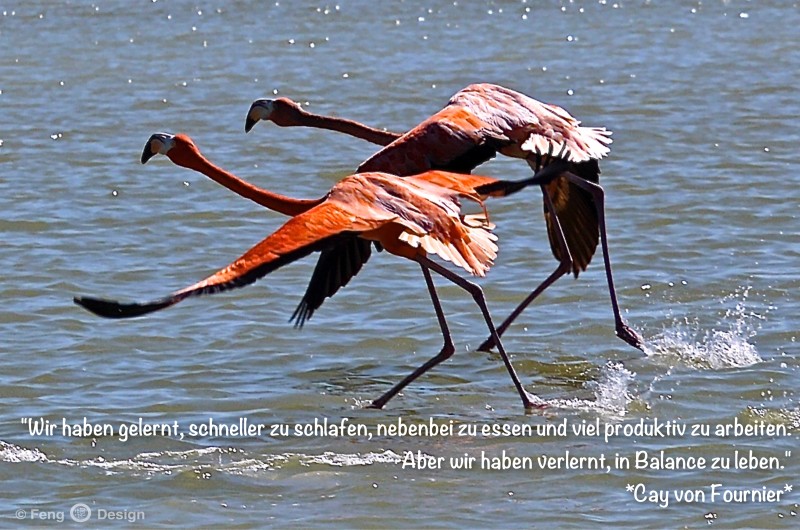 Tages Feng Shui für Samstag, den 21. November 2015